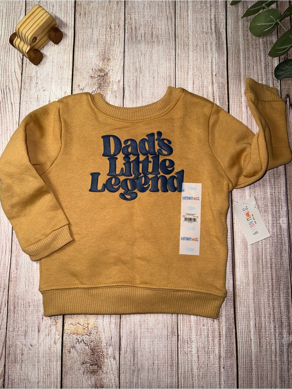 Garanimals Sweatshirt